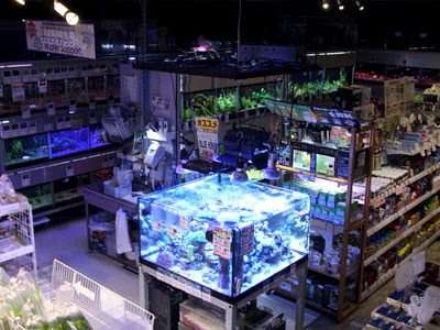 パウパウアクアガーデン新宿店 ペットショップ ペット用品店 新宿 代々木 Shiori