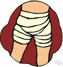fork - the angle formed by the inner sides of the legs where they join the human trunk