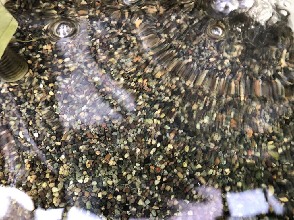 ザリガニ水槽 砂利の再考 まろパパのhow About This