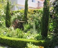 Backyard Landscape on Pinterest