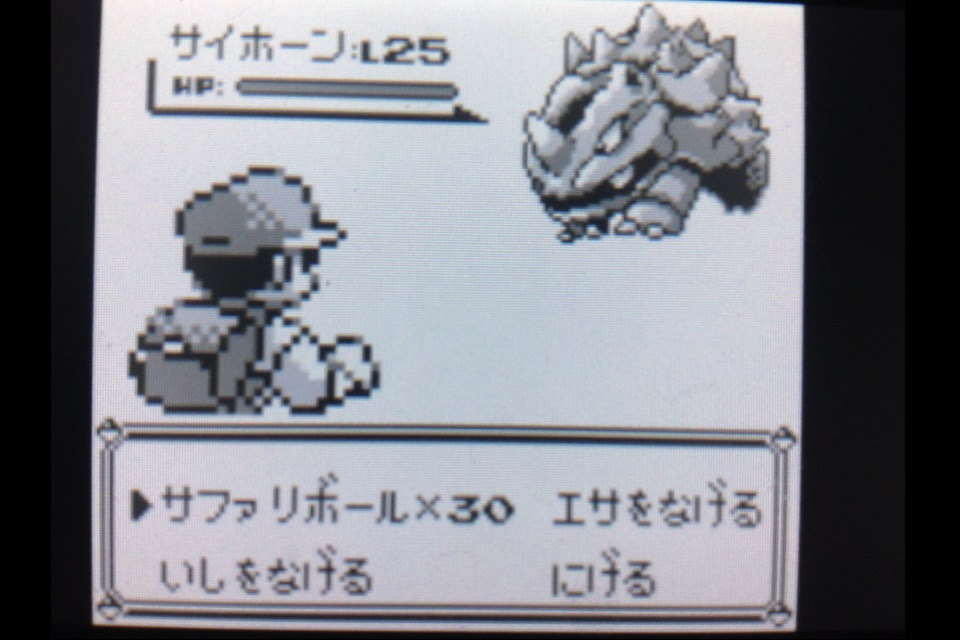 ポケットモンスターを遊びつくす日記 第7話 うさぎの隠れ家
