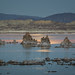 Mono Lake Moonshine