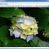 Xnview Full Version : Download Xnview Full Version - PC Games Download Full ... : Support for vector graphics ( eps , ps , pdf ) can be integrated with ghostscript.