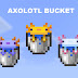 Blue Axolotl On Minecraft / Blue, cyan, gold, wild, and lucy.