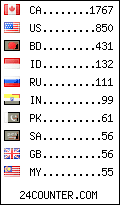 visitors by country counter