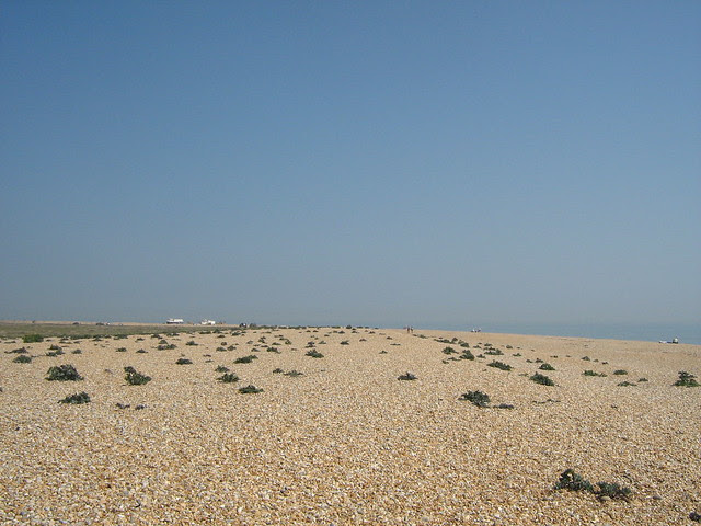 Dungeness beach