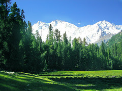 The Killer Mountain from Fairy Meadows