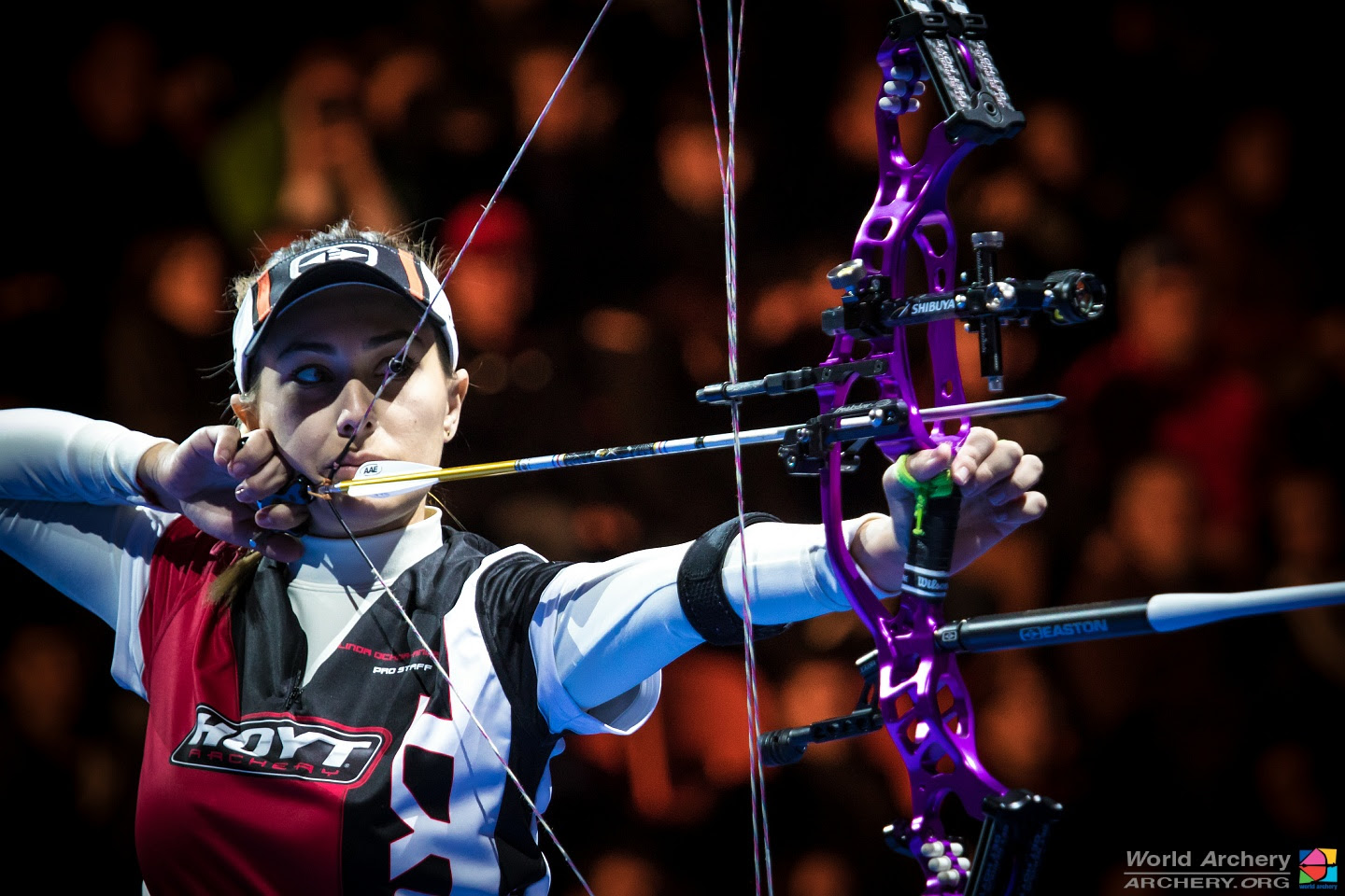 ワールドカップ関連 Online Staff Blog 渋谷アーチェリー Shibuya Archery