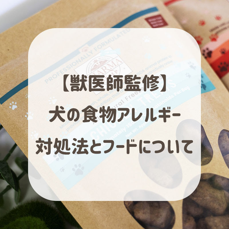犬にお米はng 注意すべき与え方とお米の種類について徹底解説