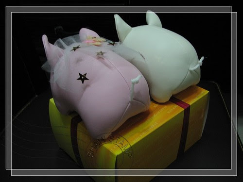 pig5