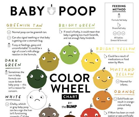  baby stool color chart stools item
