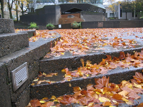 lovejoy_leaves