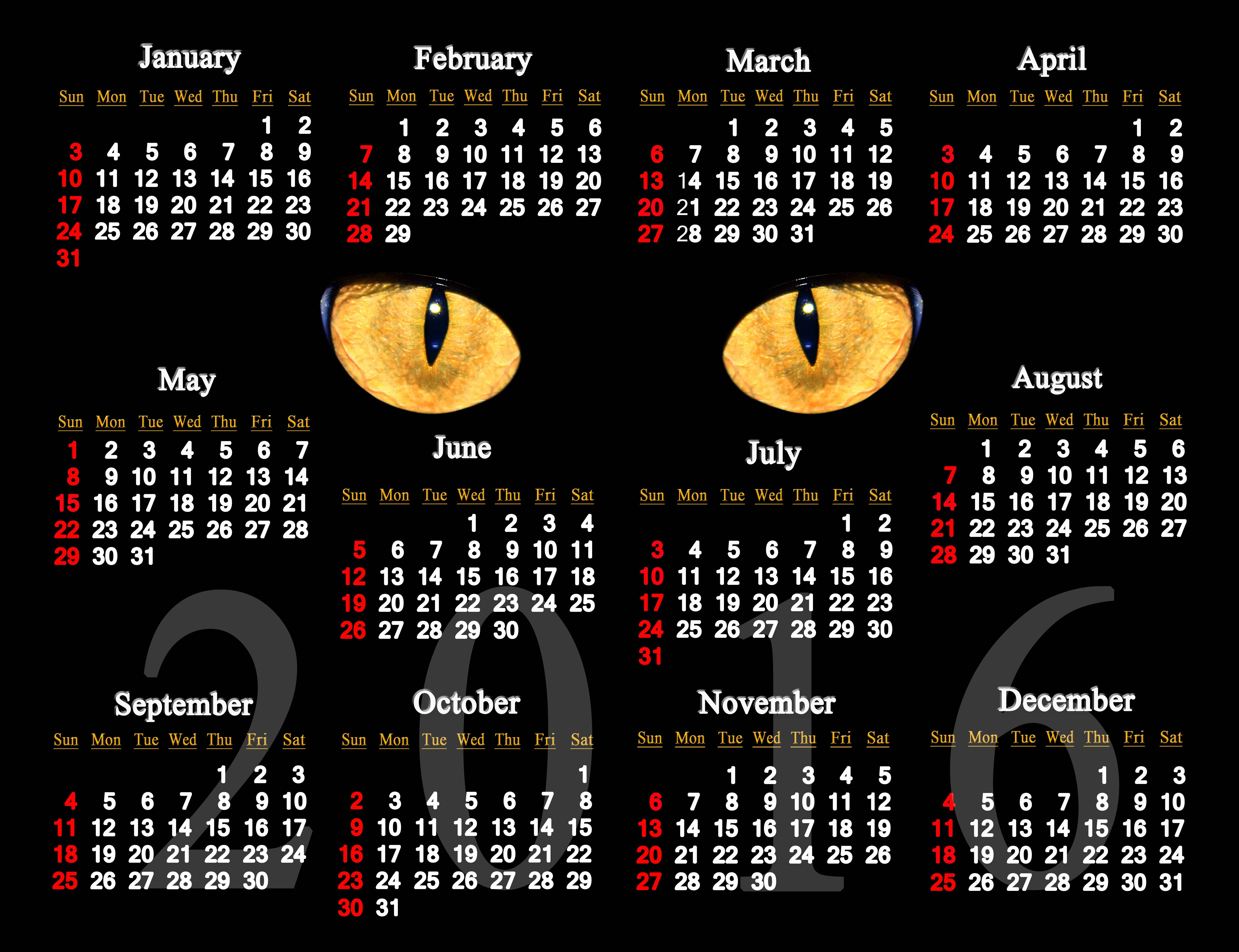 Dark Cat Black Calendar For 16
