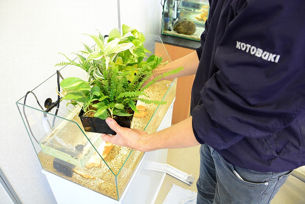Kotobukiおすすめ商品を使ってみた レグラスポニックス 近日発売 キワメテ 水族館