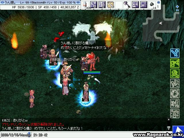 ラグナロクオンラインでlv99になりました