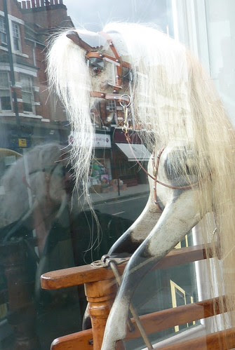 Reflections with a horse