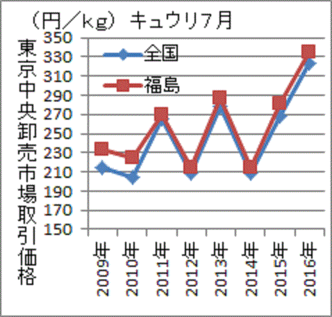 福島産キュウリ 価格差縮小 ７月 当然の結果です めげ猫 タマ の日記