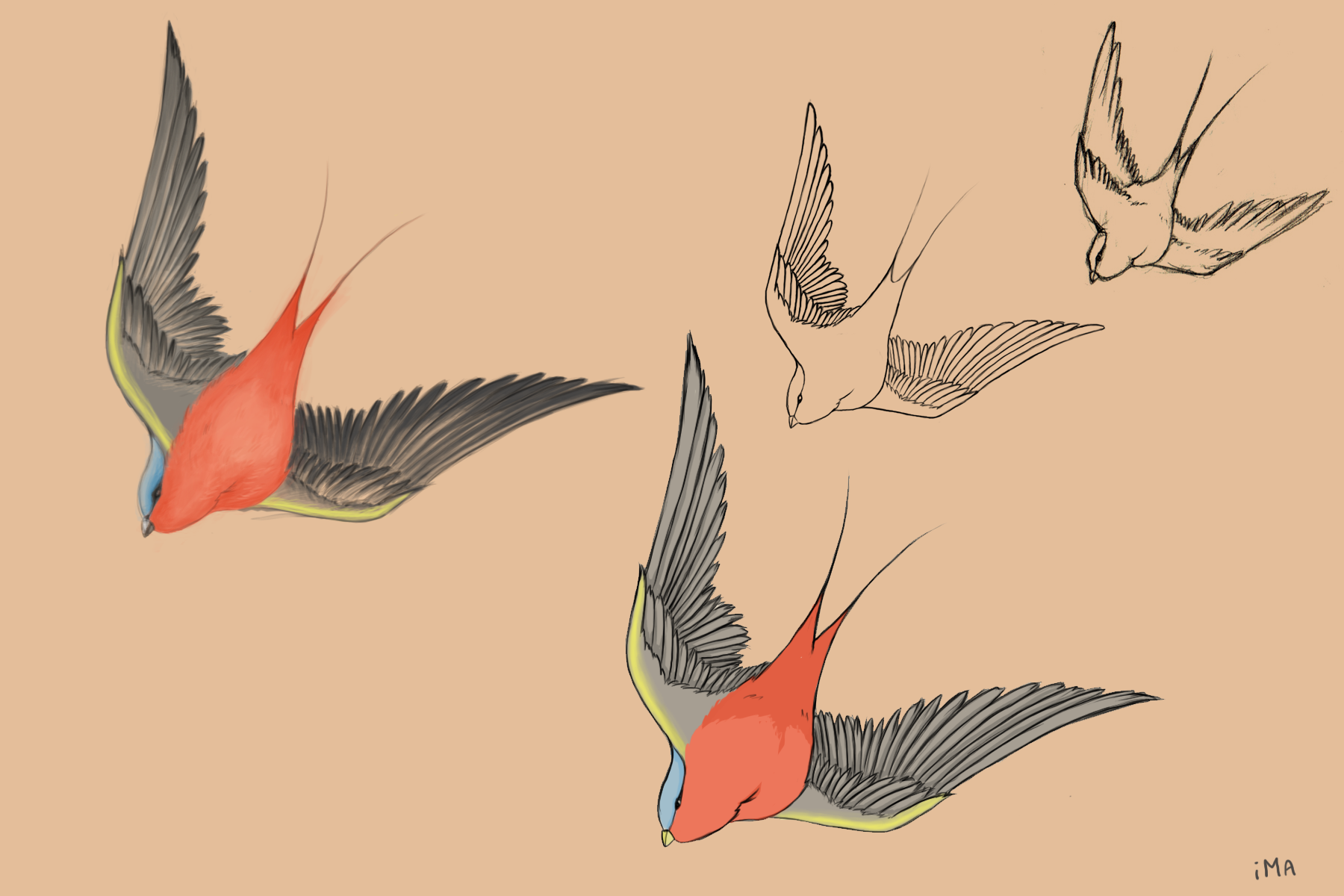 swallow tattoo