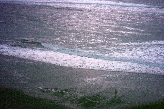 ultraviolet, lincoln city