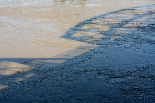 high water, willamette river