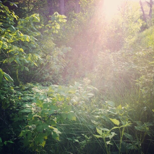 A beautiful sunset (Taken with instagram)