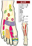 足もみ健康法 足の裏の地図帳 反射区 足ツボ健康道場