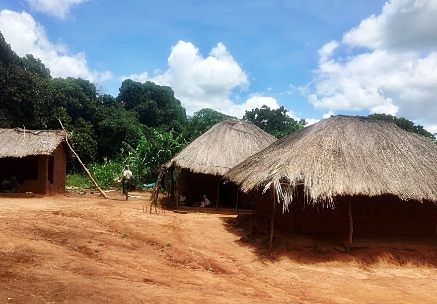 16/4/20 : Mozambique 3 sur 4 -