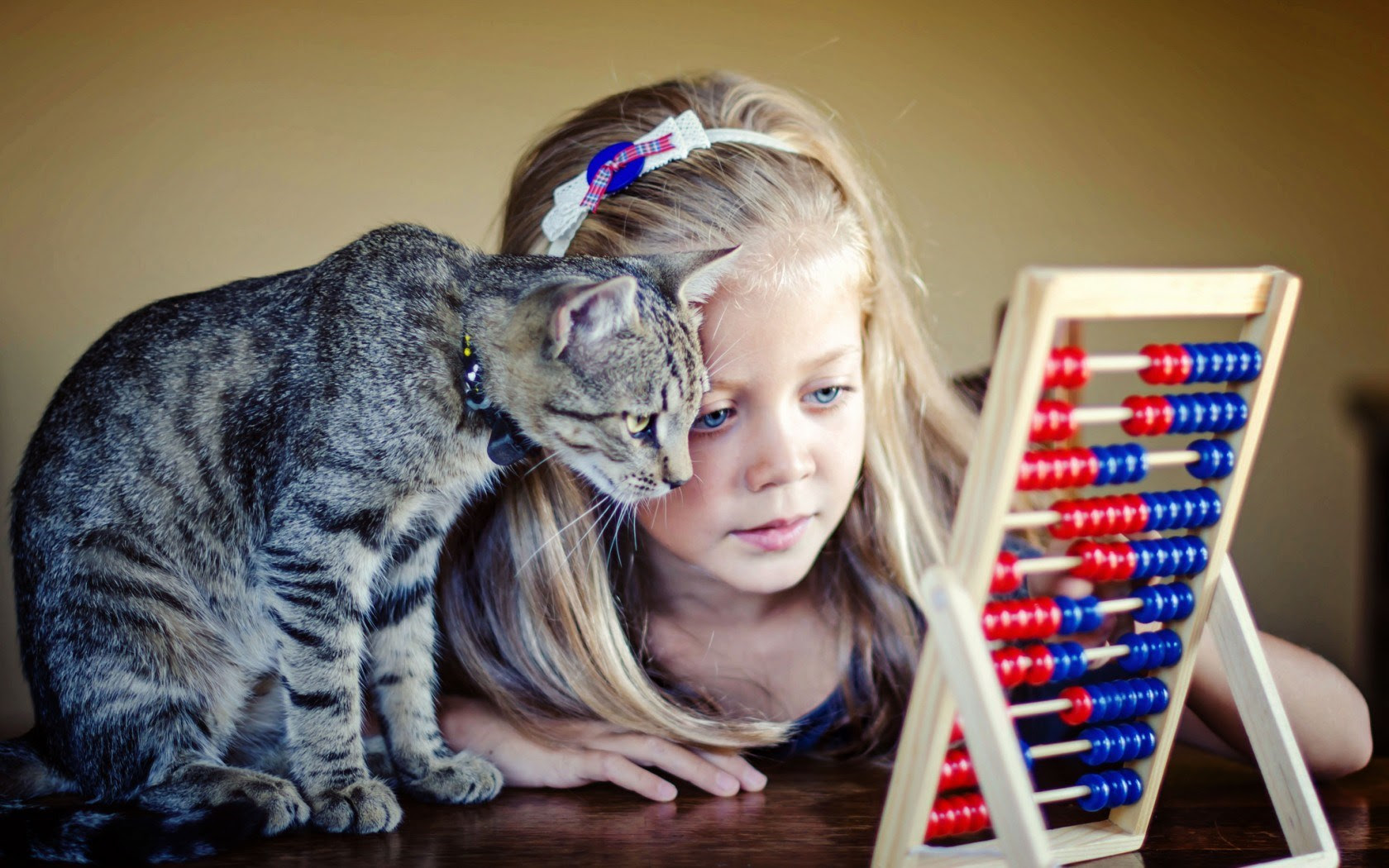 Girl Blonde Child Cat wallpaper 1680x1050 13239