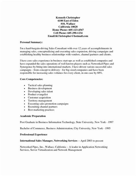 Professional Resume Template Word New Best Resume
