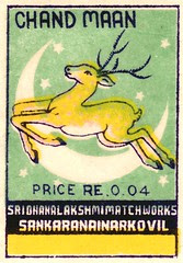 animalallumettes 010