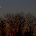 Has The Moon Been Sighted : Apr 01, 2022 · moon sighted in saudi arabia.