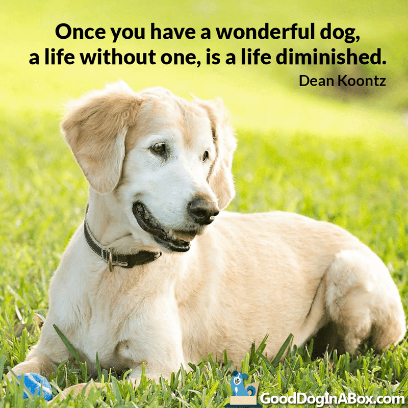 Dog Quotes &amp; Dog Pictures - Share with Your Friends
