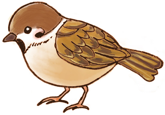 飛べないすずめを保護したら 野鳥を救うための心得