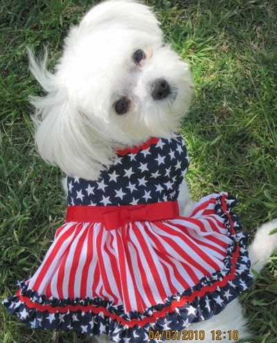 Stars and Stripes Patriotic 4th July Holiday Dog Dress