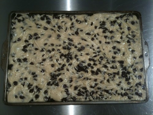 The Best Chocolate Chip Mandelbrot