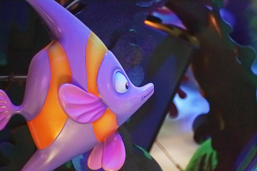 牛若丸 屋内 魚ａ プレイス マーメイドラグーン 東京ディズニーシー