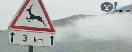 'Drunk' deer forces driver off road (Broken News Daily)