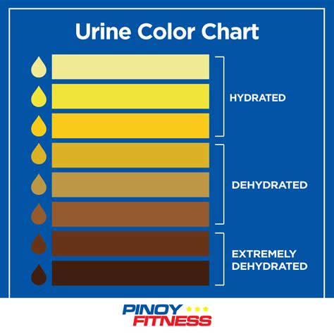 Chronic dehydration increases the risk for a number of medical conditions, such as kidney stones. 6 reasons why you should hydrate properly pinoy fitness