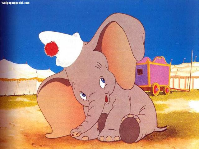 Dumbo Gallery