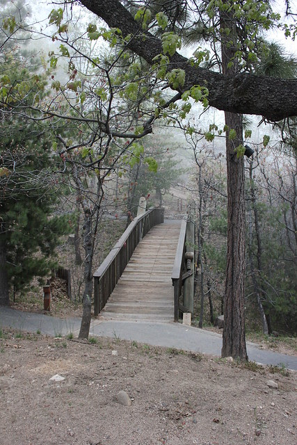 bridge