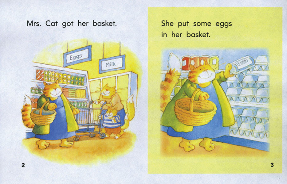 Text Types Scholastic Guided Reading Program