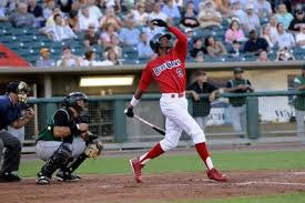 Dominic Brown takes a hack at