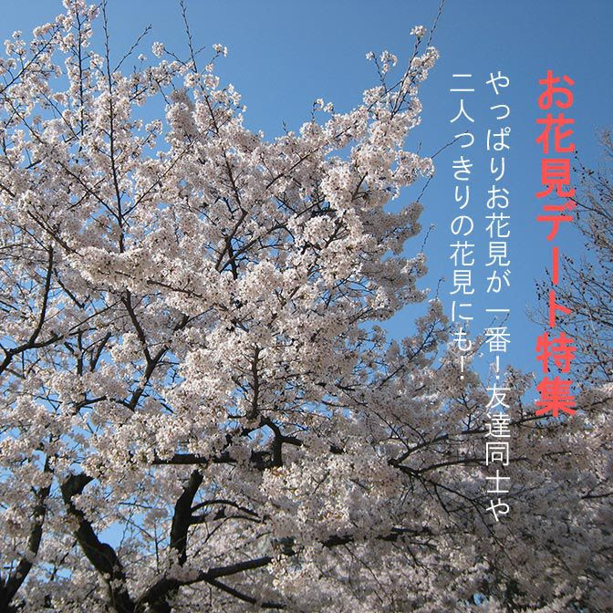 デートぴあっと東海 春の陽気な日はお花見デートが出来る東海地方 愛知 岐阜 三重 静岡 のデートスポット特集 ドライブデート や日帰り旅行など人気なおすすめ観光地 デートスポットを紹介 東海三県 東海３県で旅行へ行こう