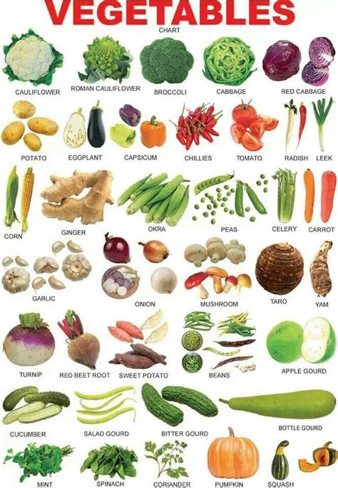 As such, it encompasses many different aspects of your life, and it can be hard to remember everything you want to remember. Vegetables Vocabulary in English - ESLBuzz Learning English