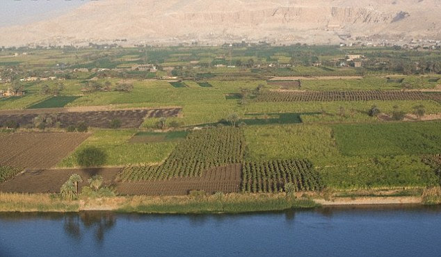 Computational analysis identified five episodes when dramatic changes occurred in Egypt¿s mammals, three of which coincided with extreme environmental changes as the climate shifted to more arid conditions. The Nile Valley is pictured