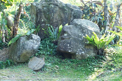PICT0220