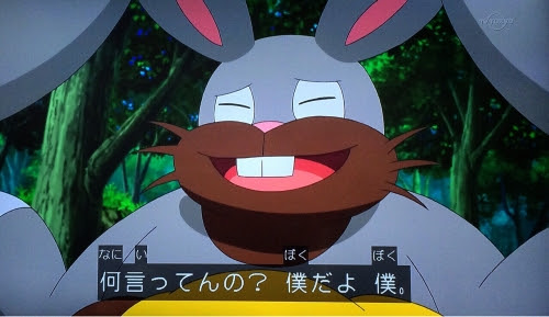 ポケモンだもの 15年11月