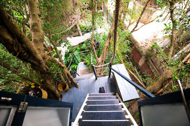 6 homestay xinh đến độ khiến bạn yêu ngay từ cái nhìn đầu tiên ở Hà Nội - Ảnh 35.