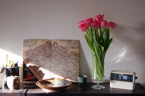 tulips, map