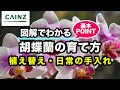 欄 手入れ 136125-欄 手入れ
